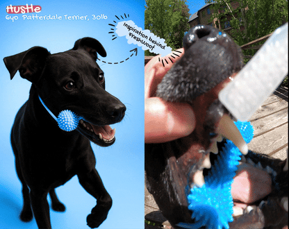 WolfyGrin Dog Dental Toy
