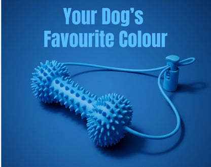 WolfyGrin Dog Dental Toy