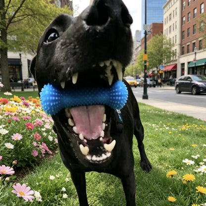 WolfyGrin Dog Dental Toy