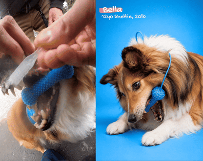 WolfyGrin Dog Dental Toy